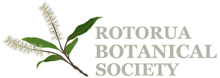 Rotorua Botanical Society logo